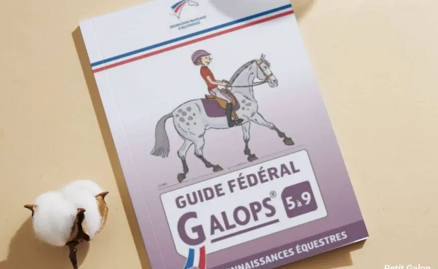 Quiz Galop 6 - Réussir l'examen sans bachoter !