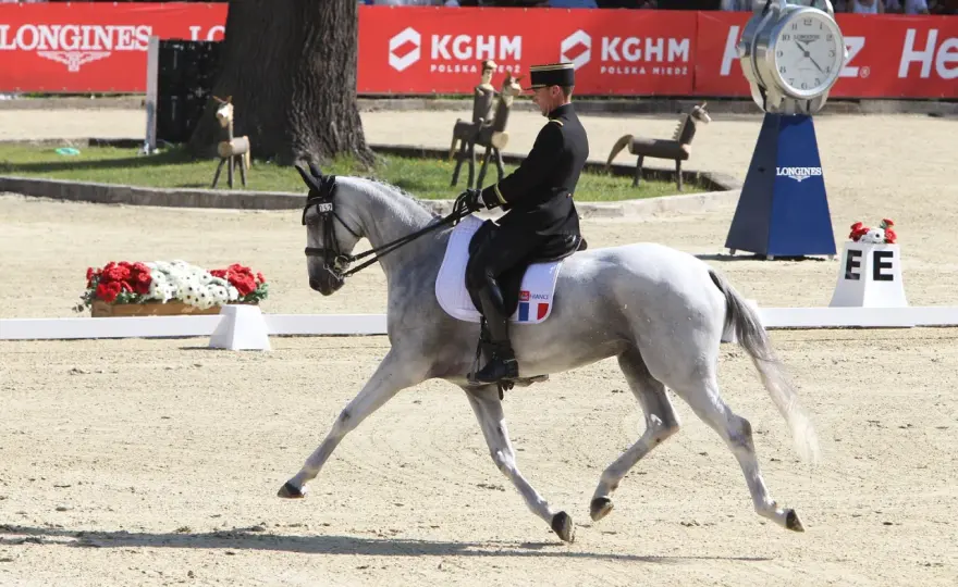 Serpentine 4 boucles - Maîtrisez le tracé parfait en dressage