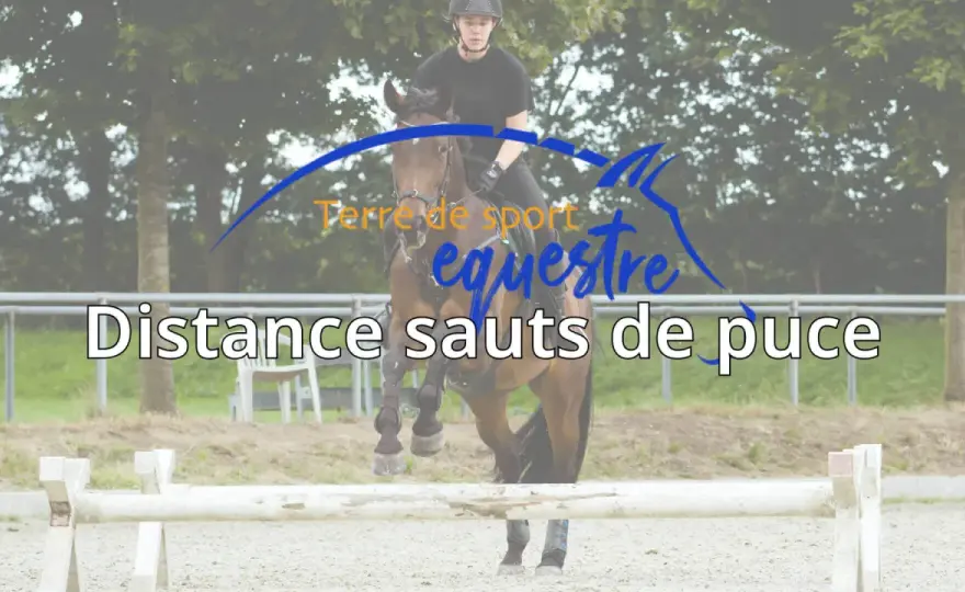Saut de puce - Distances idéales pour un cheval équilibré