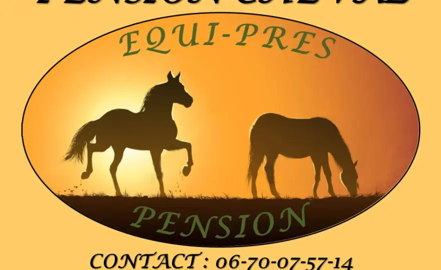 Pension au pré : le vrai prix pour votre cheval en France