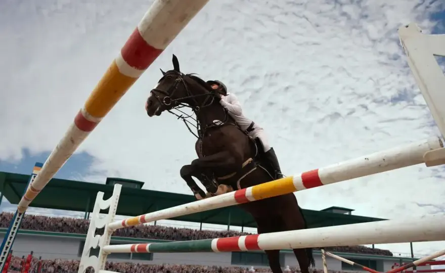 Carrière de saut d'obstacle - Évitez les erreurs coûteuses !