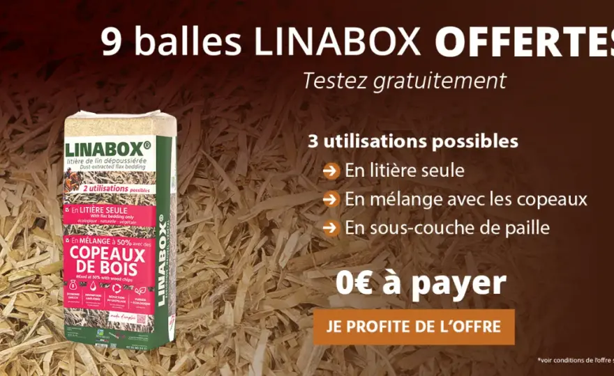 Paille pour chevaux - Choisir la bonne litière pour son box