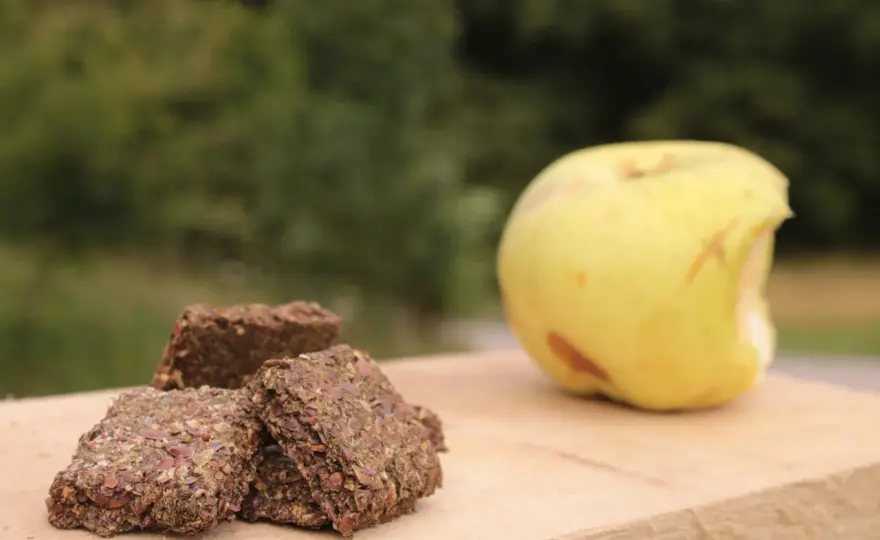 Friandises maison cheval sans cuisson - 3 recettes faciles