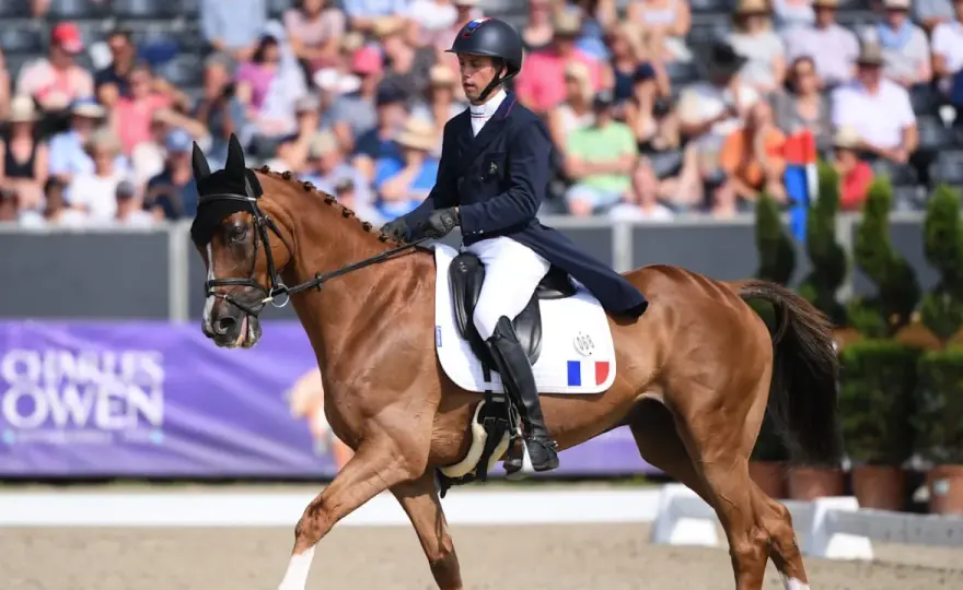 Concours complet d'équitation - réussir sa première épreuve