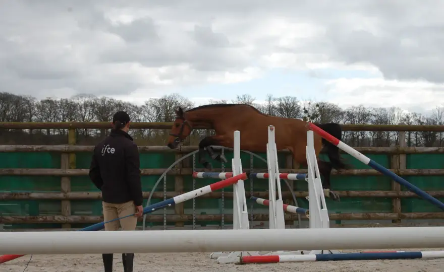 Obstacles CSO - Lisez les profils pour un parcours juste