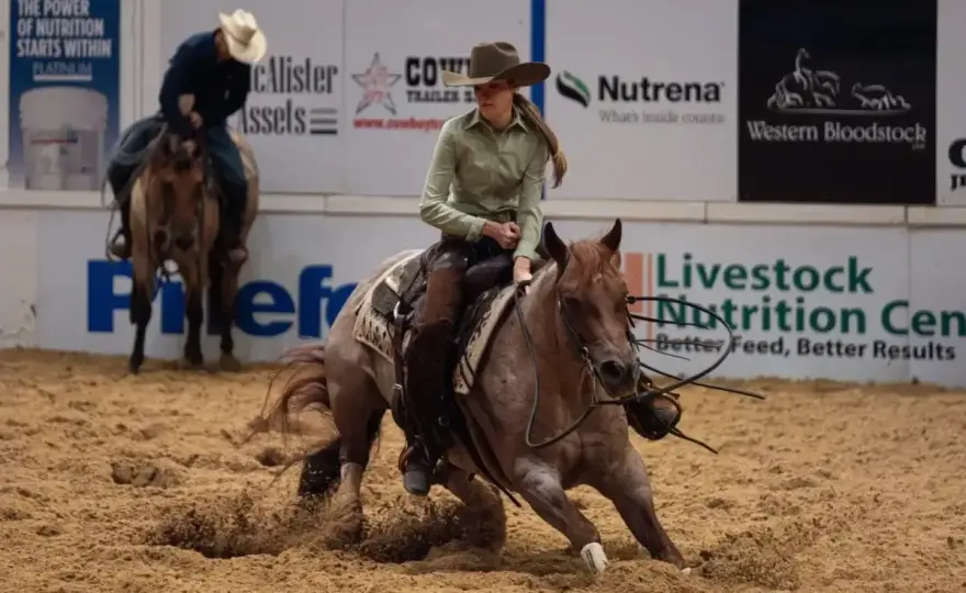 Cutting Western - Le guide complet pour cheval et cavalier