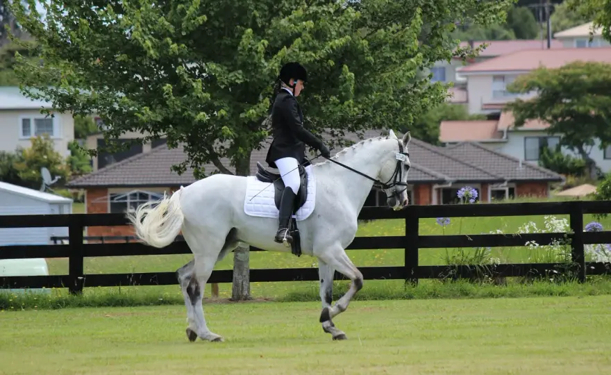 Épaule en dedans: Réussir sans crisper le cheval