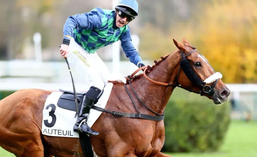 Cheval Morgan et course - Est-il vraiment rapide ?