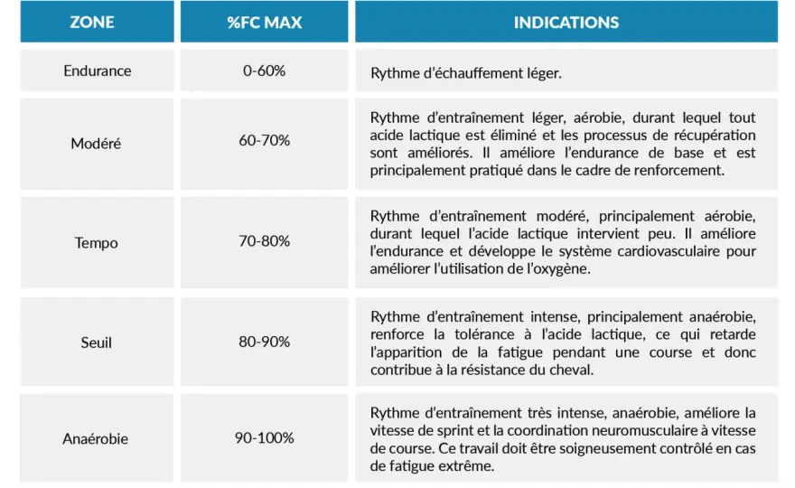 Rythme Cardiaque Cheval - Guide Complet pour Comprendre et Agir