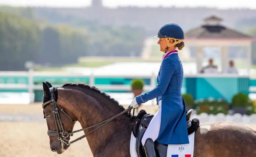 Cavalier professionnel en dressage - Le guide complet