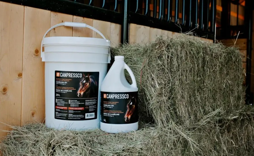 Huile de caméline pour cheval - Le bon compromis ?