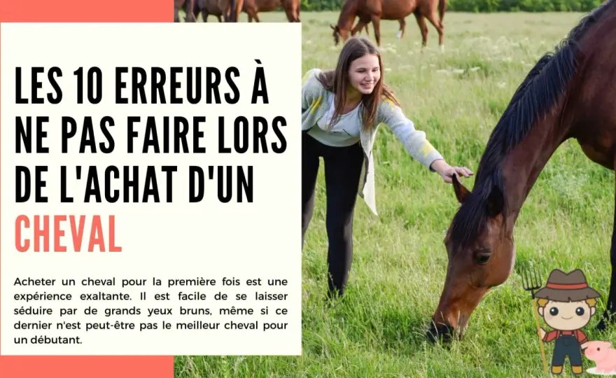 Cheval sur terrain privé - Évitez les erreurs coûteuses !