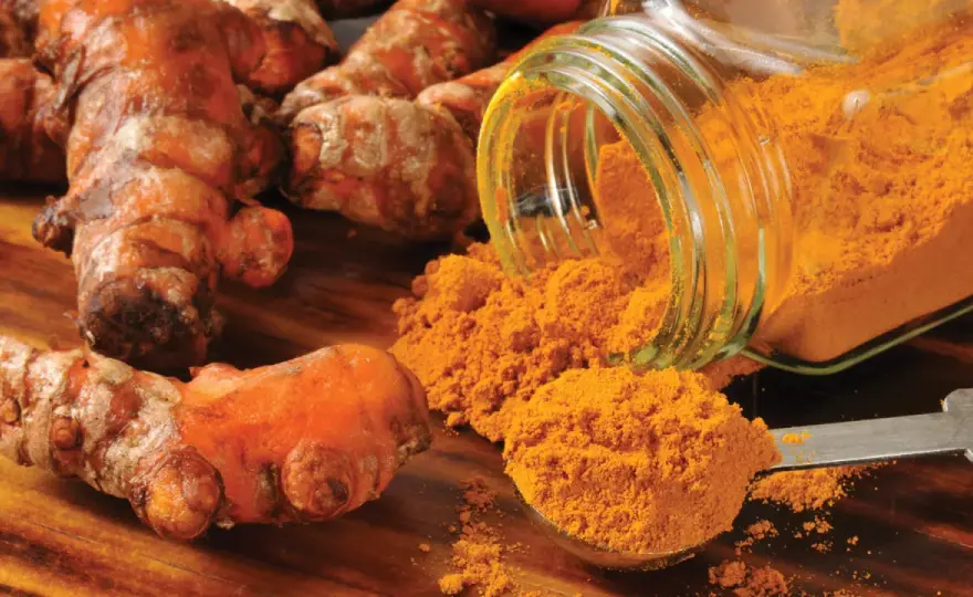 Curcuma cheval - Vrai guide pour une utilisation efficace et sûre