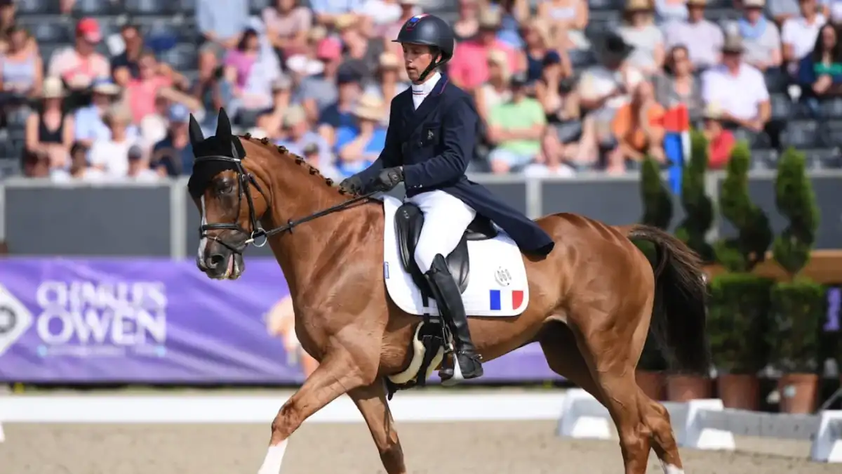 Concours complet d'équitation - réussir sa première épreuve