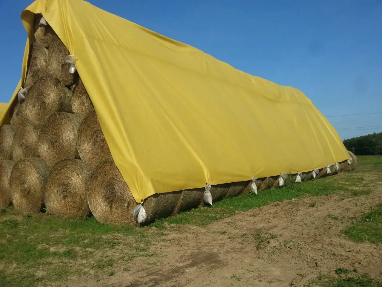 Roulés de foin empilés et recouverts d'une bâche jaune pour un stockage optimal.