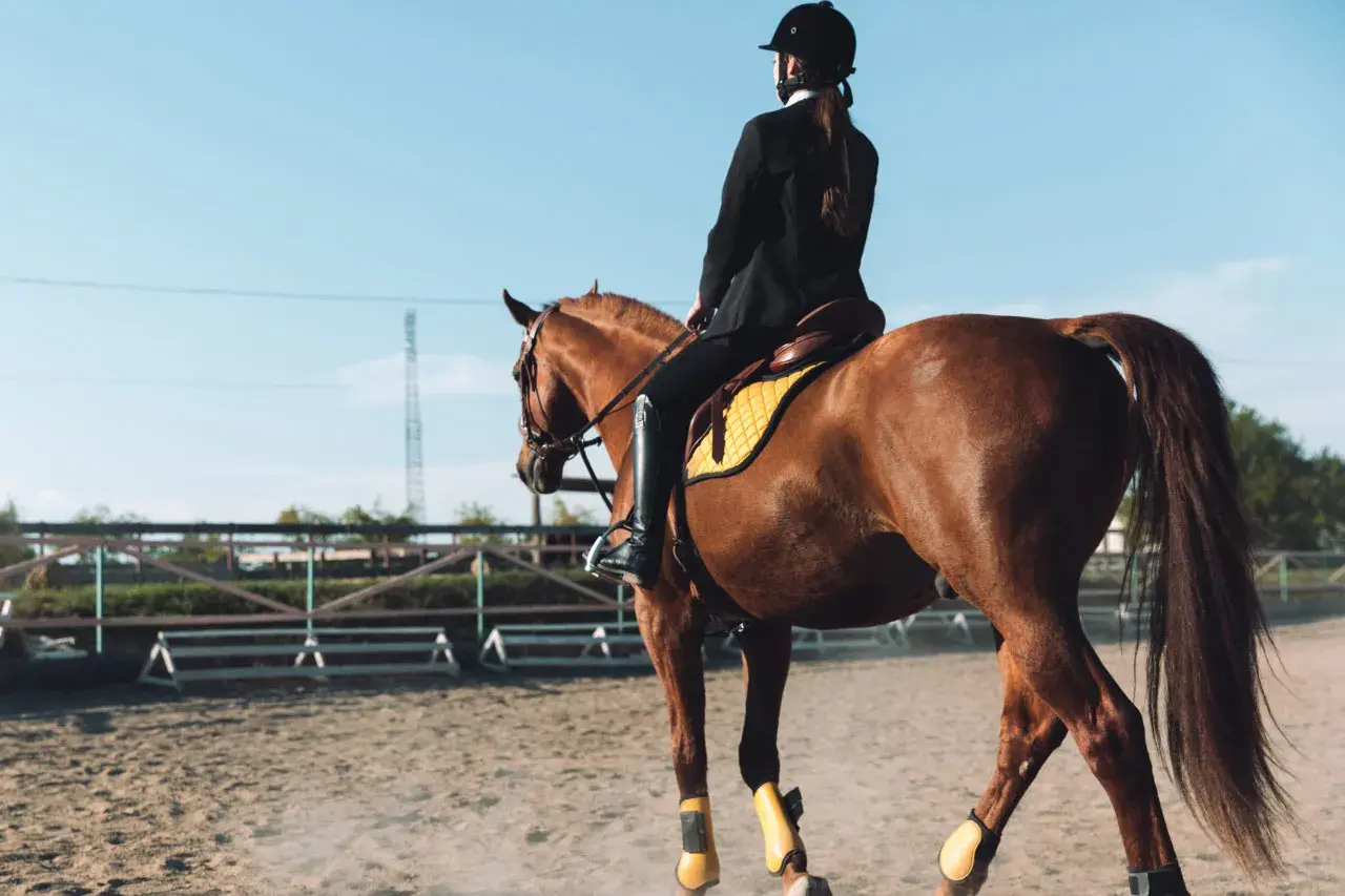 Cavalière en tenue d'équitation, le cheval au trot, une épaule en avant, sur un manège sablonneux.