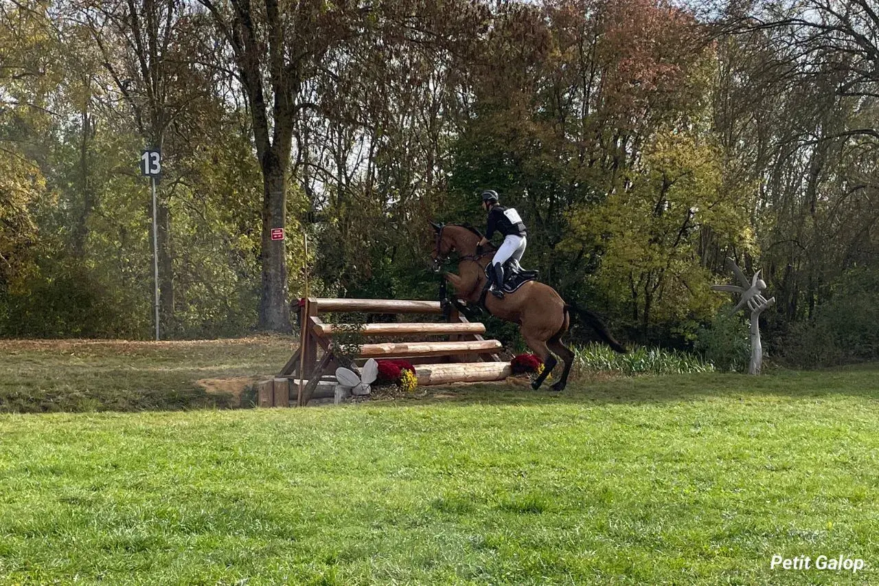 Cavalier et cheval franchissant un obstacle de cross galop 5, dans un décor automnal.