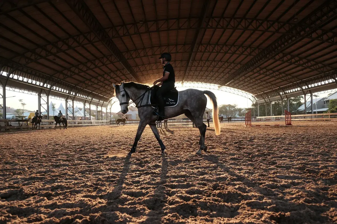 Cavalier sur un cheval gris dans une carrière couverte. Le soleil couchant crée de longues ombres. Idéal pour un cour d'équitation pour débutant, prix abordable.
