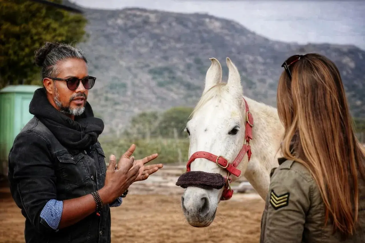 Un homme parle à un magnifique cheval marwari blanc, une femme se tient à côté.