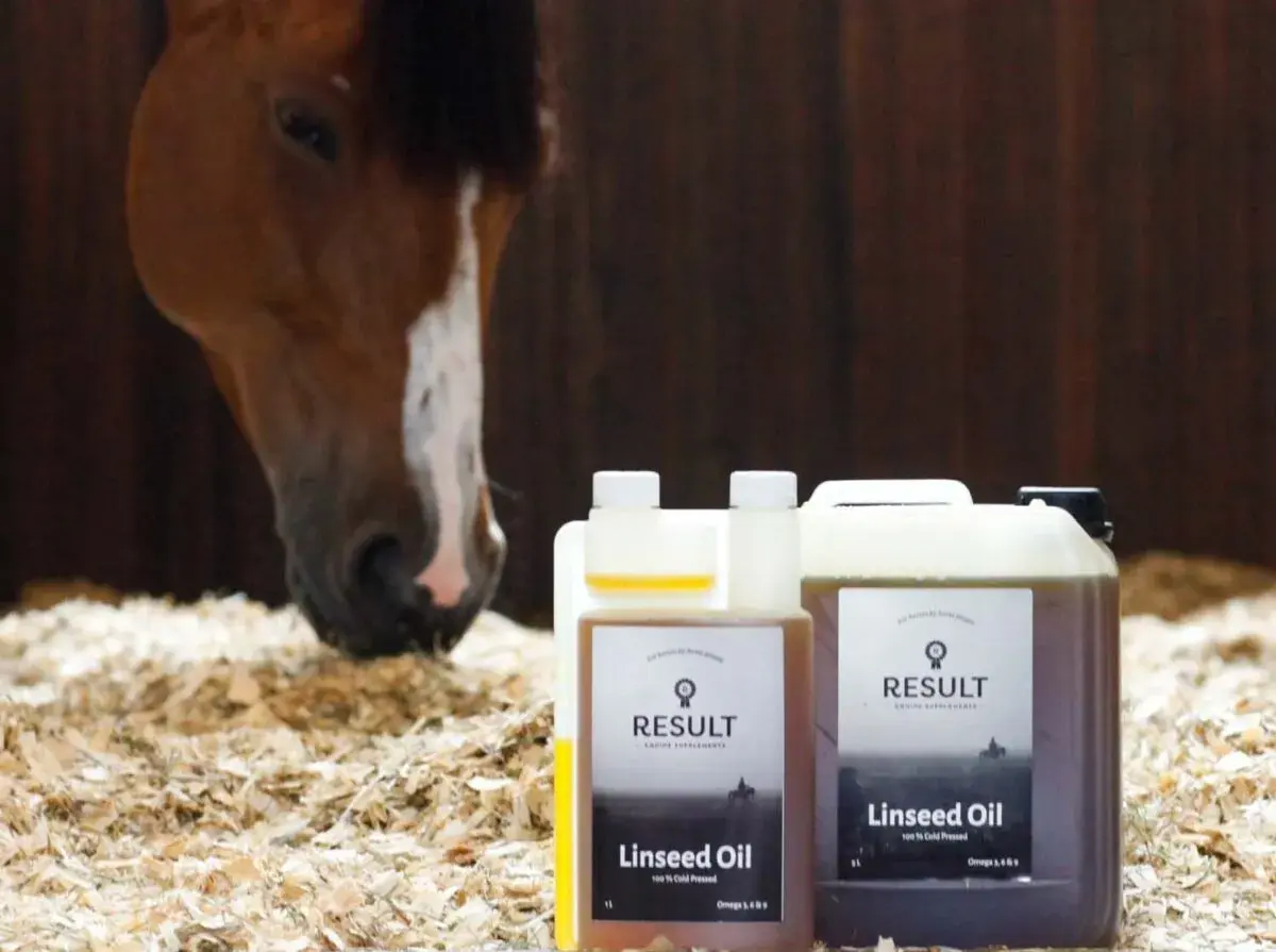 Un cheval brun se penche vers la litière, à côté de deux bouteilles d'huile de lin pour cheval.