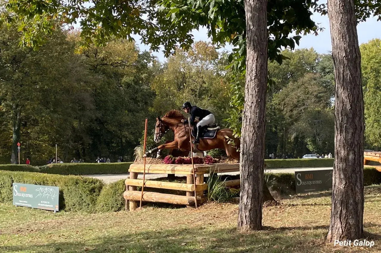Un cavalier et son cheval brun franchissent un obstacle en bois lors d'un cross équestre.