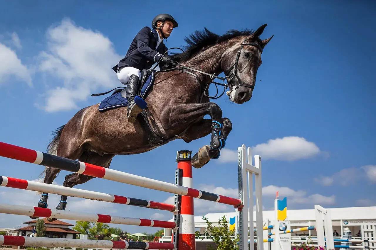 Un cavalier et son cheval réalisent un saut d'équitation spectaculaire dans un ciel bleu.