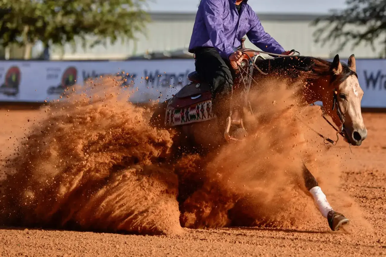 Un cheval de reining exécute un arrêt spectaculaire, soulevant un nuage de terre rouge.