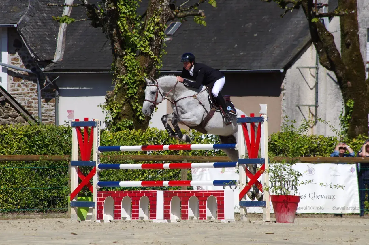 Un cheval gris et son cavalier en plein effort, capturant le **mécanisme du saut** au-dessus d'une barrière aux couleurs vives.
