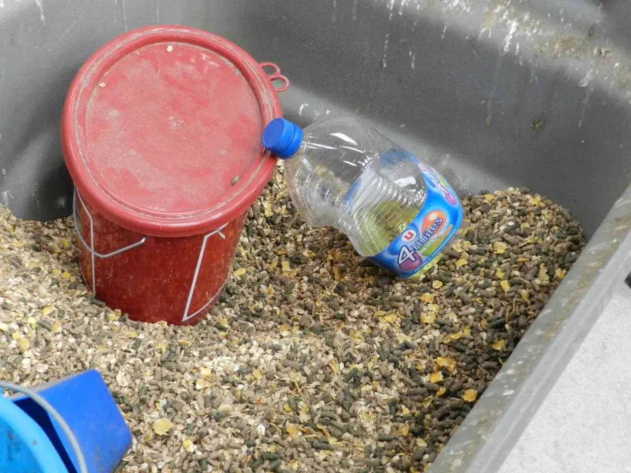 Un seau rouge et une bouteille d'huile 4 huiles, posés dans une mangeoire remplie de granulés pour chevaux.