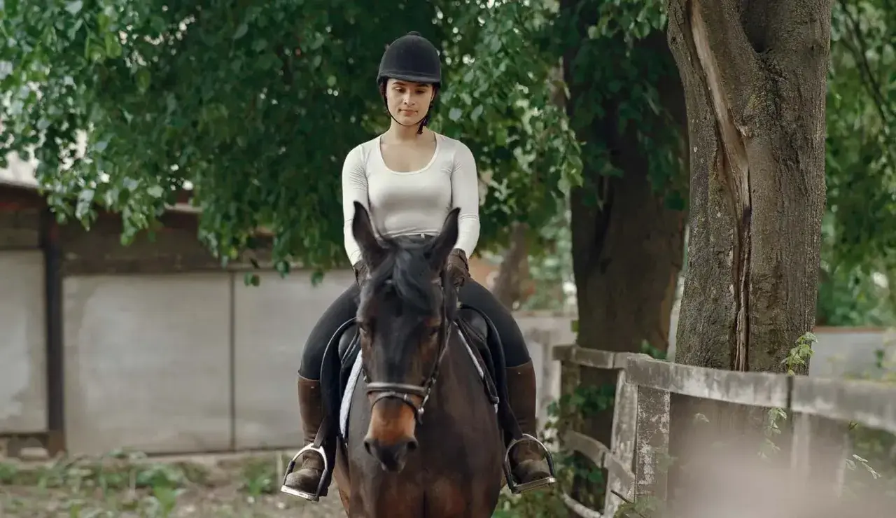 Une jeune femme en tenue d'équitation, casque noir, est assise sur un cheval brun. Elle semble prête à monter à cheval.