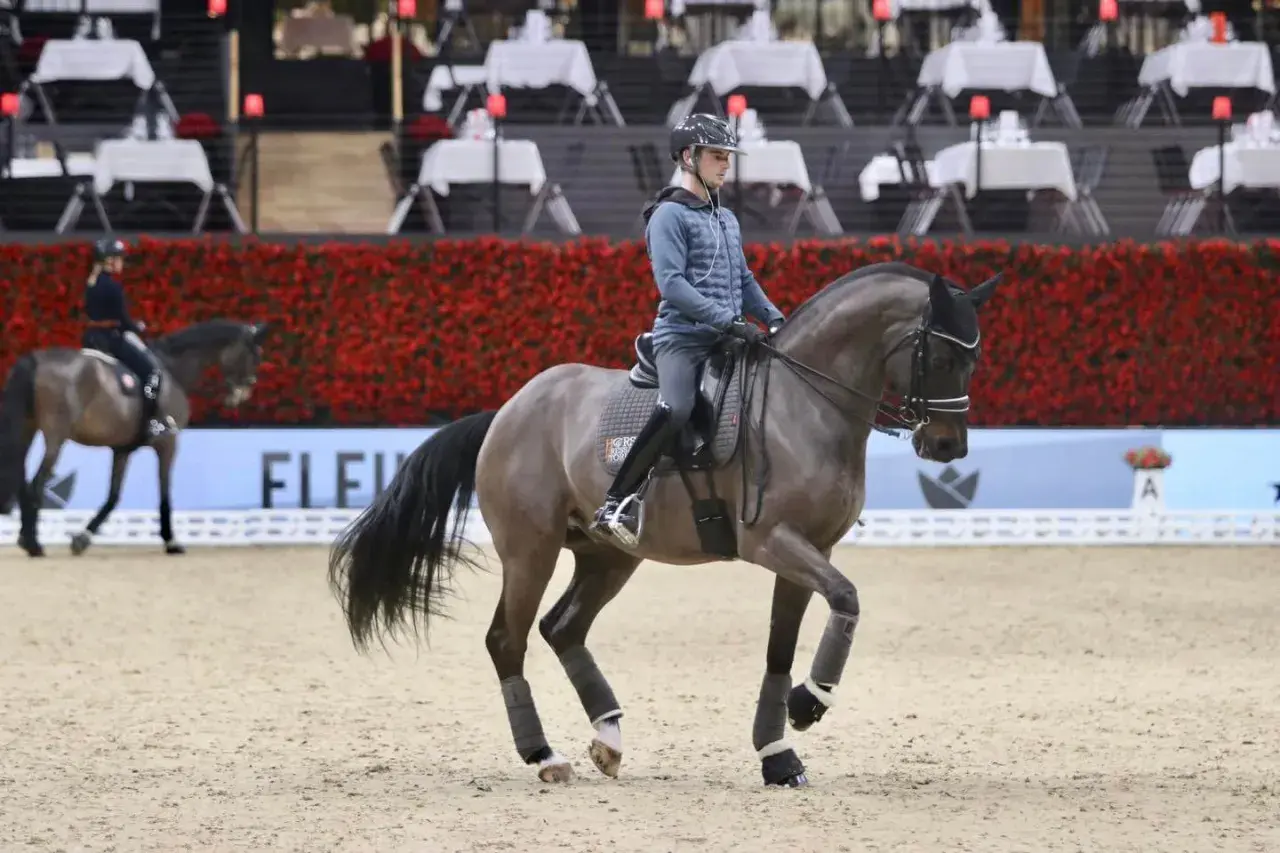 Un cavalier et son cheval gris évoluent sur le sable, le cheval semble vouloir monter en bride, prêt pour la compétition.