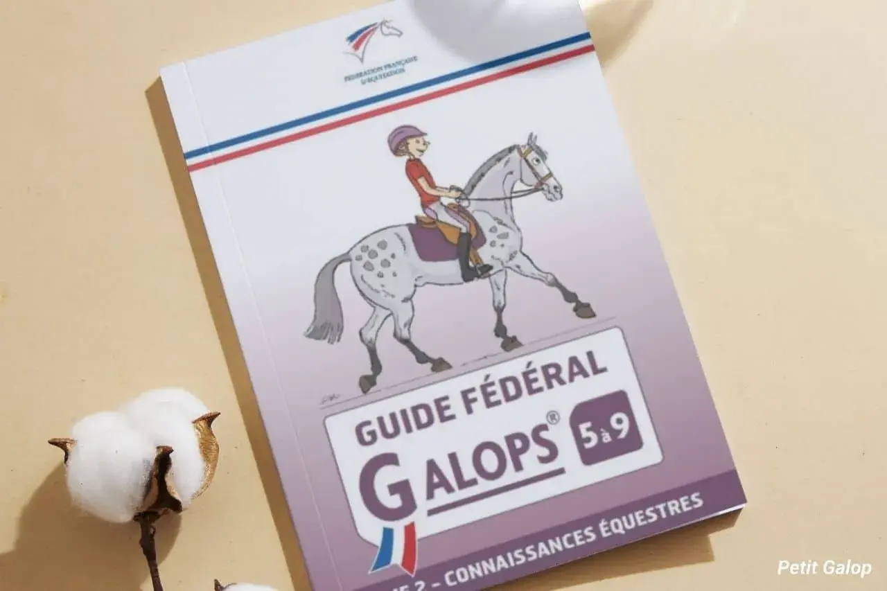 Guide fédéral Galops 5 à 9, un quizz pour les jeunes cavaliers.