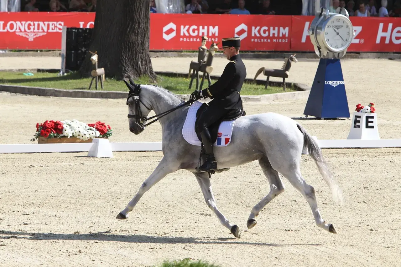 Cavalier en uniforme noir et chapeau, sur un cheval gris effectuant une serpentine 4 boucles. Le drapeau français est visible sur la selle.