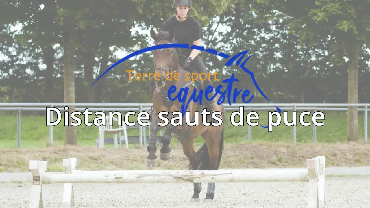 Cavalier et cheval en plein saut, le texte "Distance sauts de puce" est superposé.