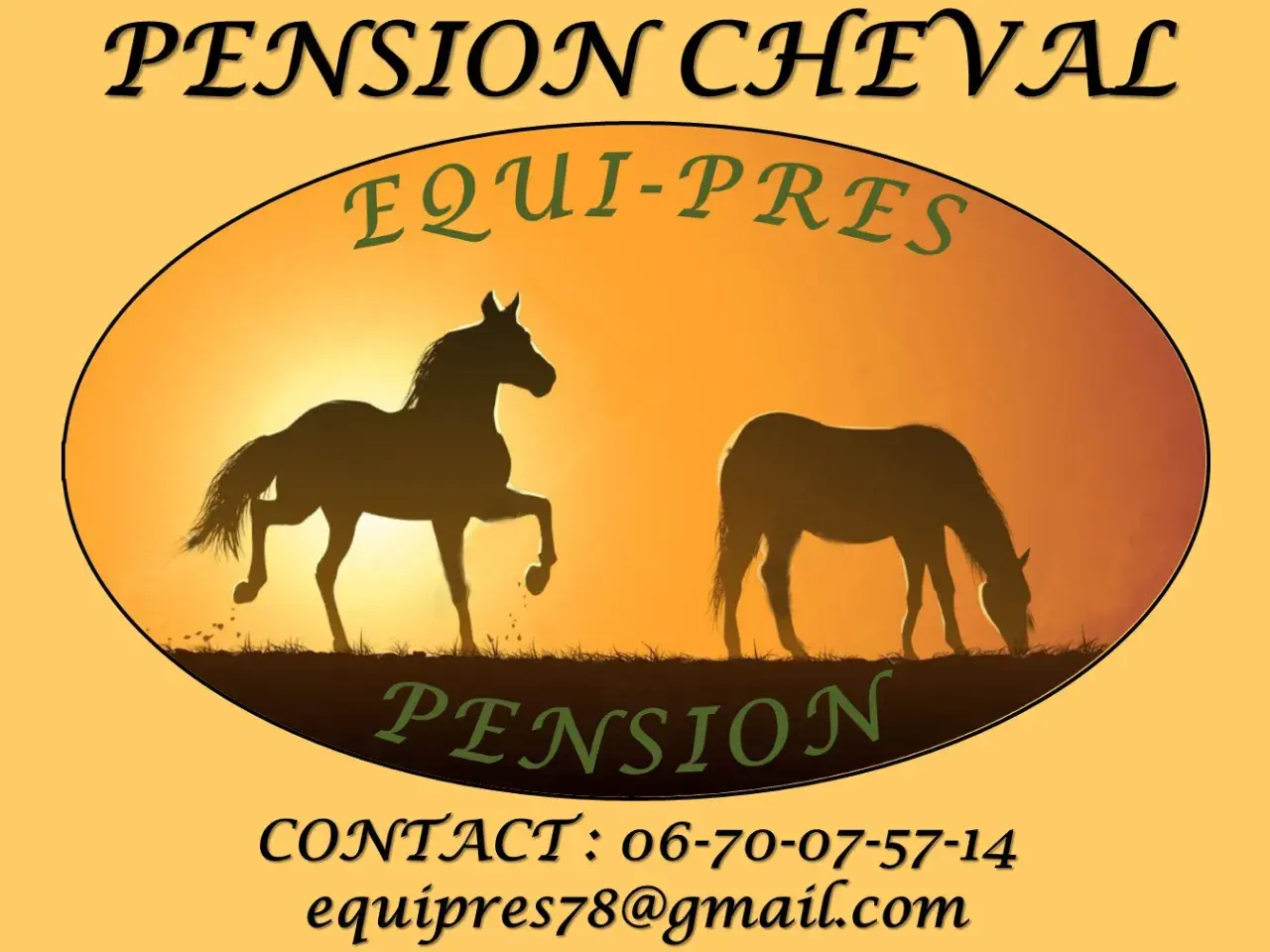 Pension pré cheval : Équi-Pres offre un cadre idyllique pour votre cheval. Contactez-nous pour connaître nos tarifs.
