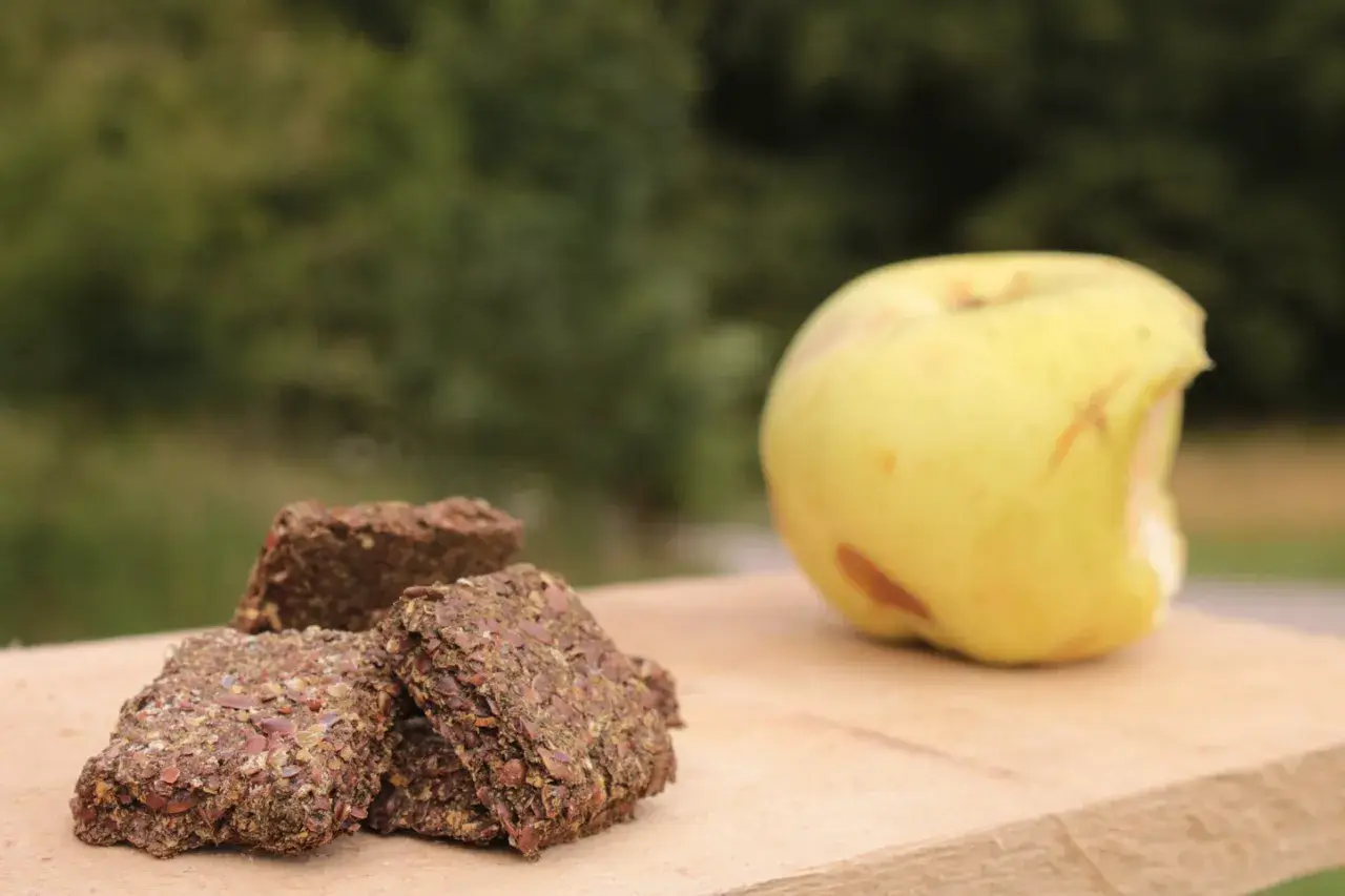 Trois friandises pour chevaux faites maison sans cuisson, à base de graines, à côté d'une pomme verte sur une planche en bois.