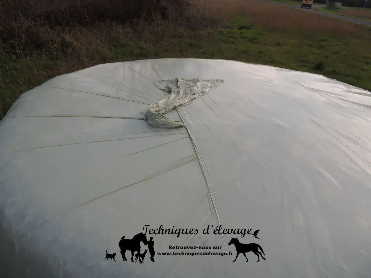 Gros plan sur une botte de matière sèche enrubannage, protégée par une bâche blanche tendue.