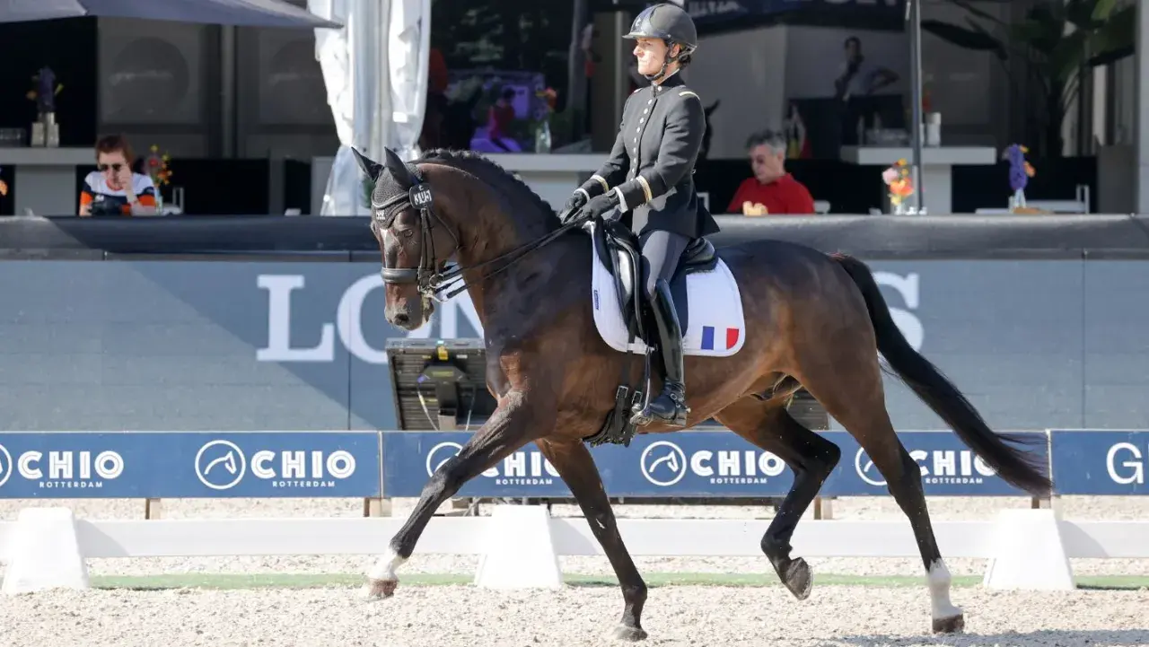 Cavalière française en tenue d'apparat, sur son cheval, lors d'une compétition. Le nombre de licenciés équitation France est en hausse.