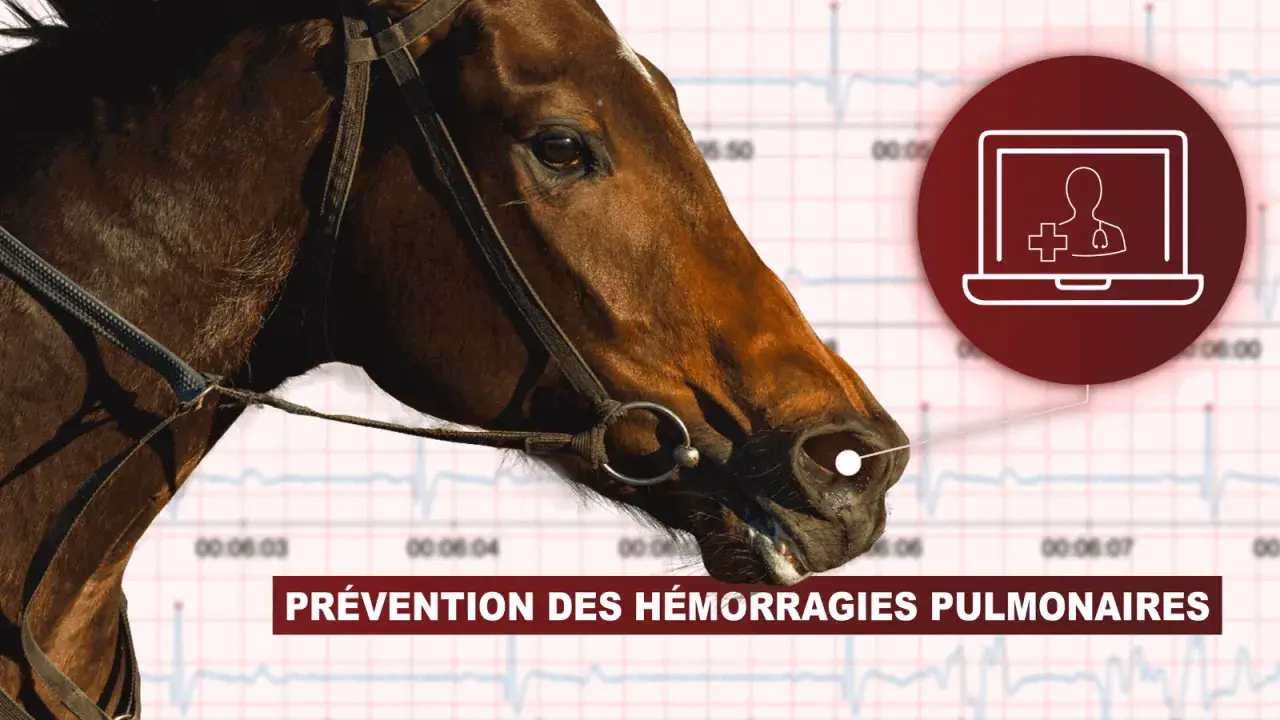 Tête de cheval avec un graphique d'ECG en arrière-plan. Une icône de télémédecine est visible, suggérant la prévention du **purpura hémorragique** chez les chevaux.