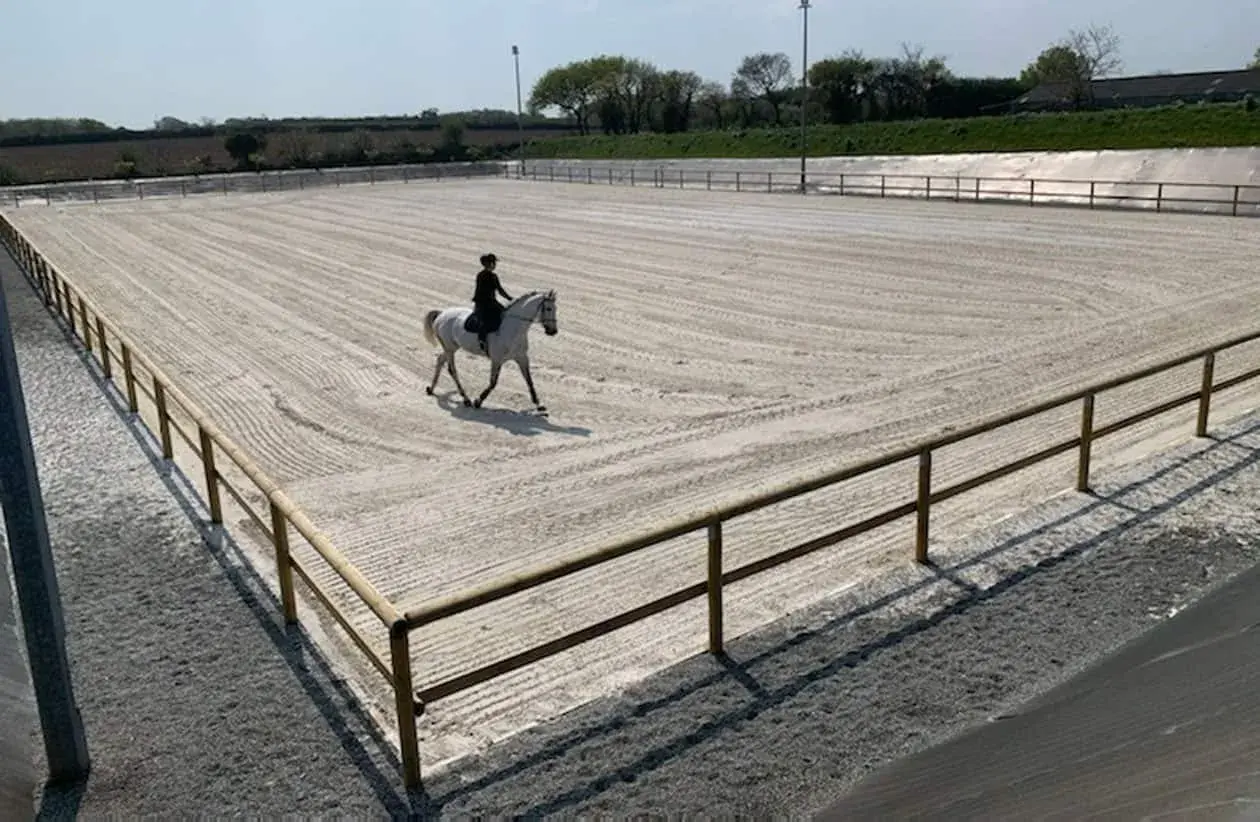 Un cavalier et son cheval blanc évoluent sur les lices d'une carrière d'équitation sablonneuse, sous un ciel bleu.