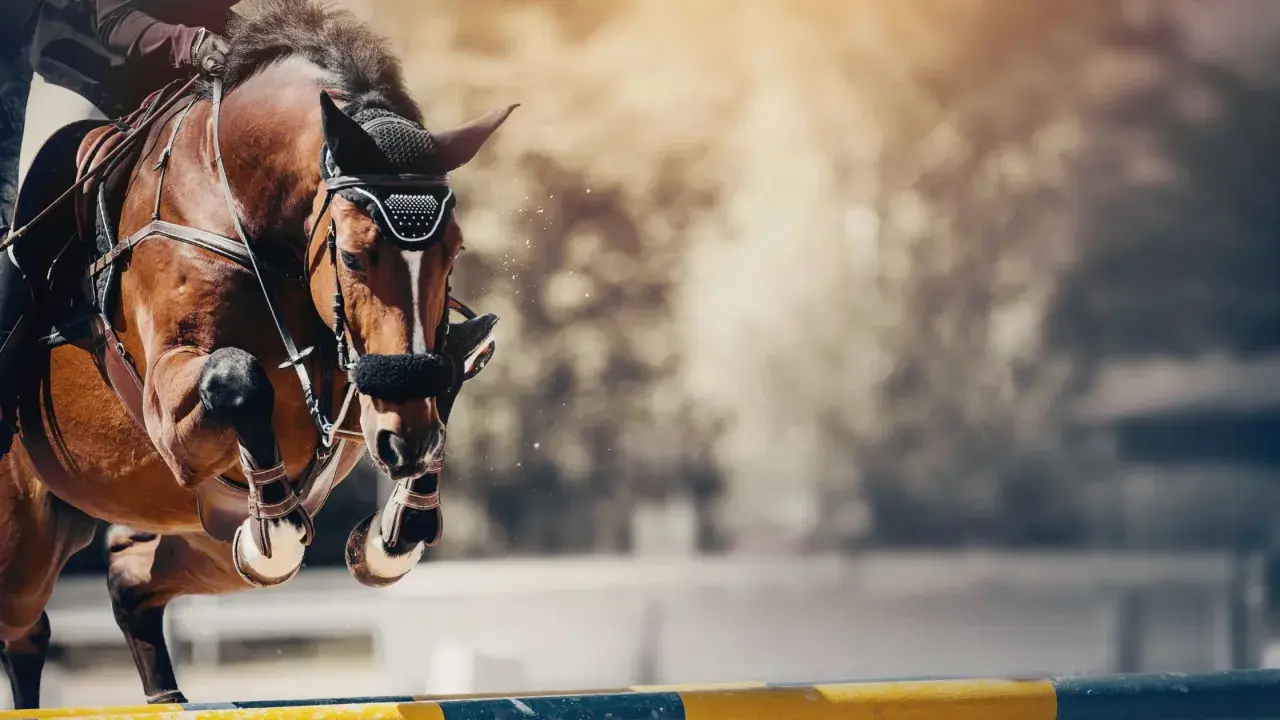 Un cheval brun saute un obstacle lors d'une compétition de cso équitation. La poussière vole autour de ses sabots.
