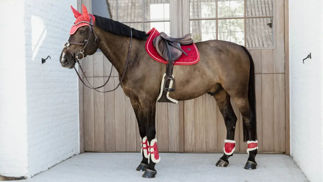 Cheval brun avec selle rouge et bonnet assorti. Ses protections de jambes, d'un rouge vif, ne sont pas toxiques et ajoutent une touche audacieuse.