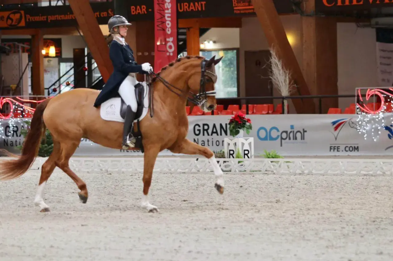 Une cavalière en tenue d'apparat mène un cheval alezan dans une arène. L'allure du cheval est majestueuse, ses pattes avant levées avec grâce.