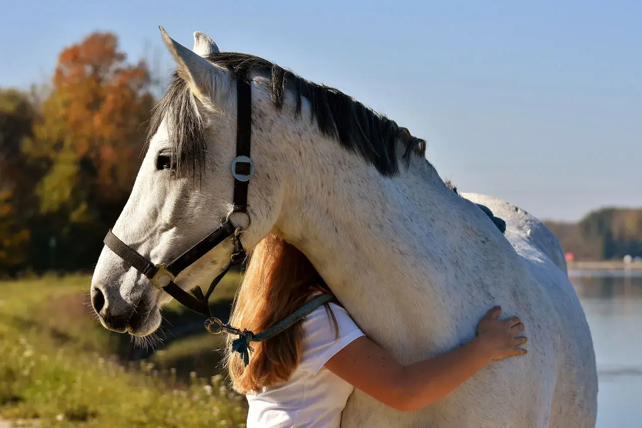 Une jeune fille aux cheveux roux enlace tendrement un grand cheval blanc. Quel galop pour avoir un cheval aussi doux !