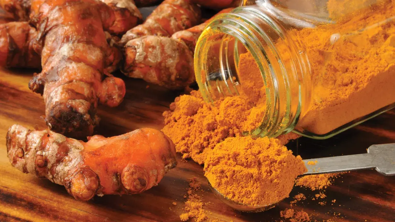 Racines de curcuma et poudre dorée. Une cuillère déborde de curcuma, prêt à être ajouté à la nourriture des chevaux pour leurs bienfaits.