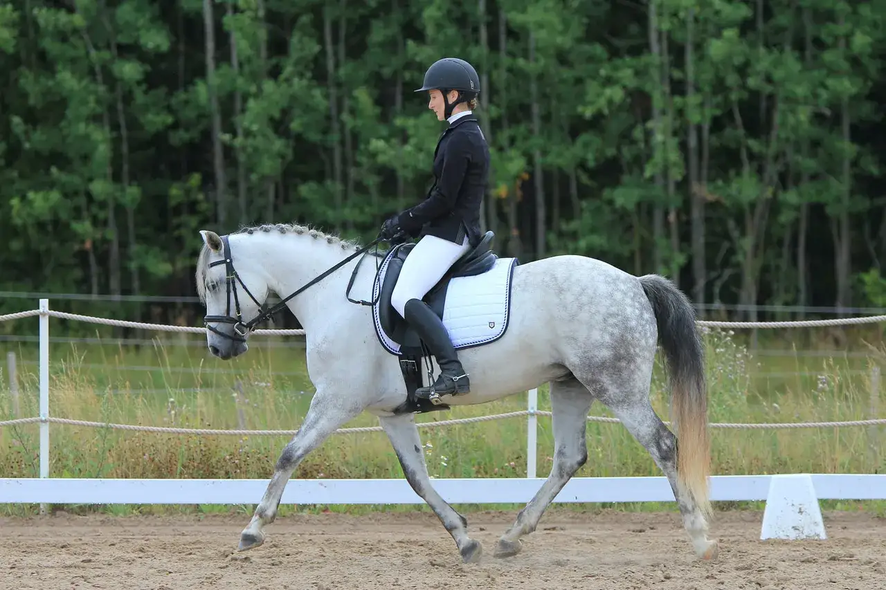 Cavali&egrave;re en tenue d'&eacute;quitation, sur un cheval gris, en plein mouvement. La rectitude de leur posture t&eacute;moigne d'une parfaite harmonie.