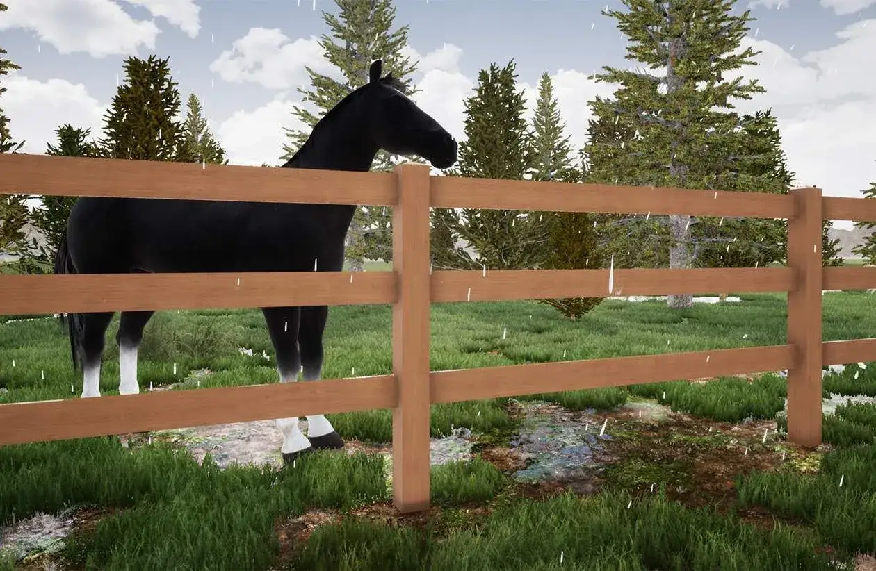 Un cheval noir, aux pattes blanches, se tient derrière une clôture en bois. La pluie tombe sur les prés verdoyants et les arbres. Les lices attendent patiemment.