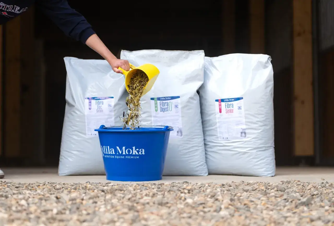 Une personne verse de la nourriture pour cheval dans un seau bleu. Ces sacs de nourriture sont une solution pour l'alimentation cheval cushing.