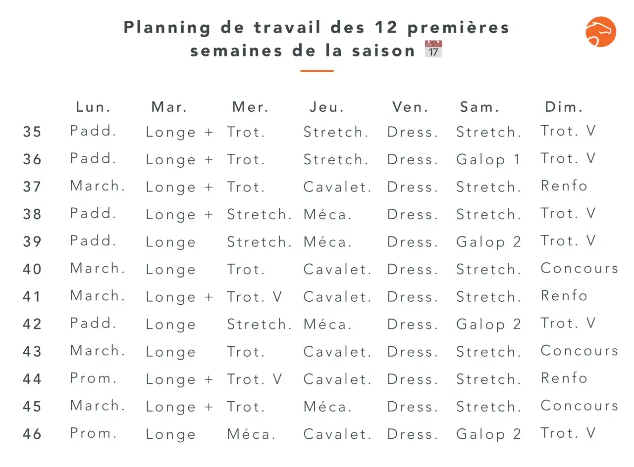 Planning de travail cheval pour 12 semaines, incluant paddock, longe, trot, étirements, travail à la cavalerie, mécanique, dressage et galop.