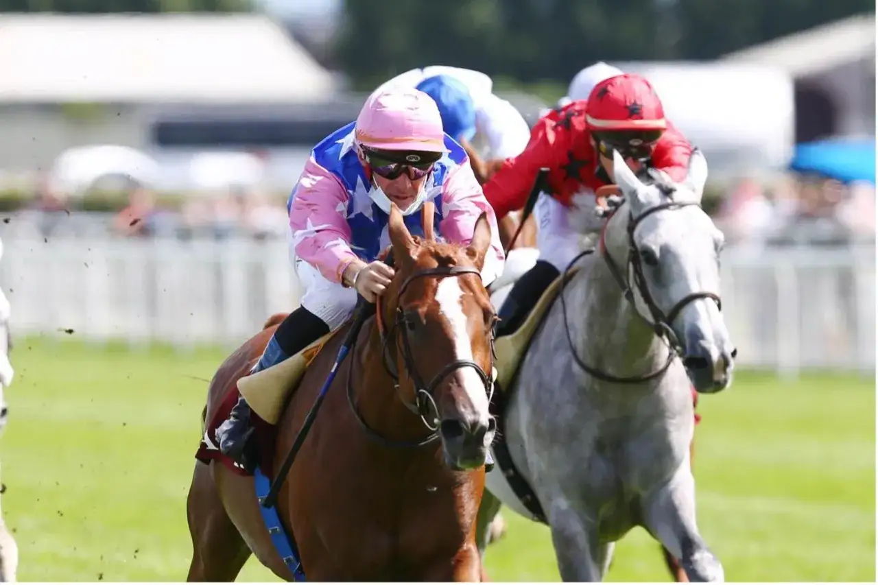Deux jockeys en action sur leur cheval de course race, l'un en rose et blanc, l'autre en rouge. La poussière vole sur l'herbe verte.